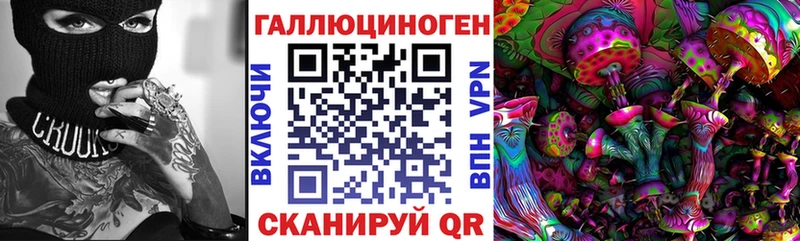 omg   Дагестанские Огни  Псилоцибиновые грибы Psilocybine cubensis  где купить наркоту 